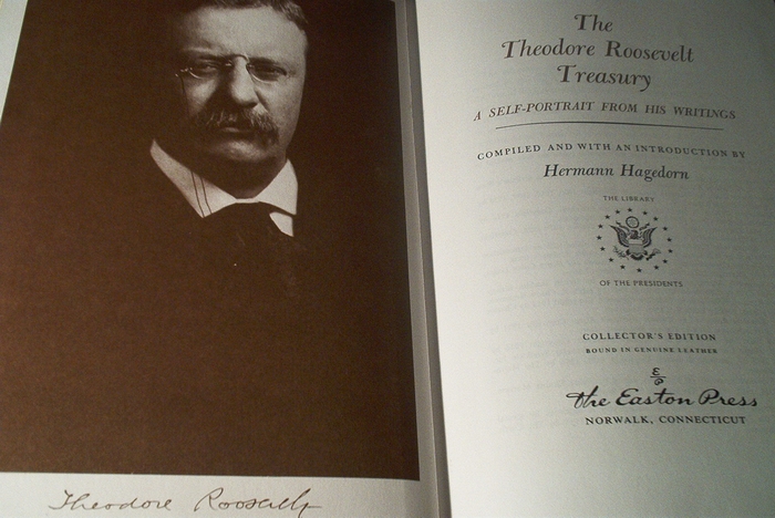President Theodore Roosevelt portrait